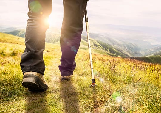 A person with a cane walking on top of a hill.